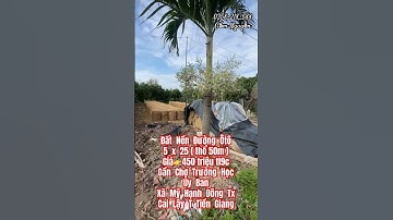 #bán đất nền giá rẻ. gần chợ trường học ủy ban Mỹ Hạnh Đông #shortvideo #xuhuong #shorts