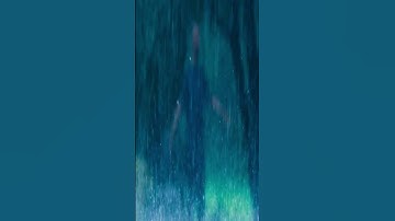 من مقاصد سورة الأعلى - همسات 269
