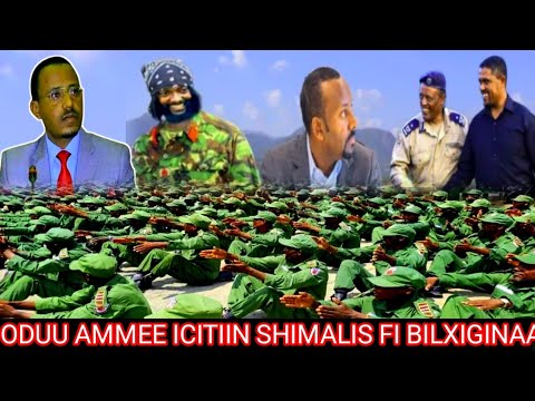 ODUU AMMEE Gochaa Shimellis Fi Koree Nagenyaa Amerikan Saxilxee Injifanoo Jajabee Gazexesaa Ethio