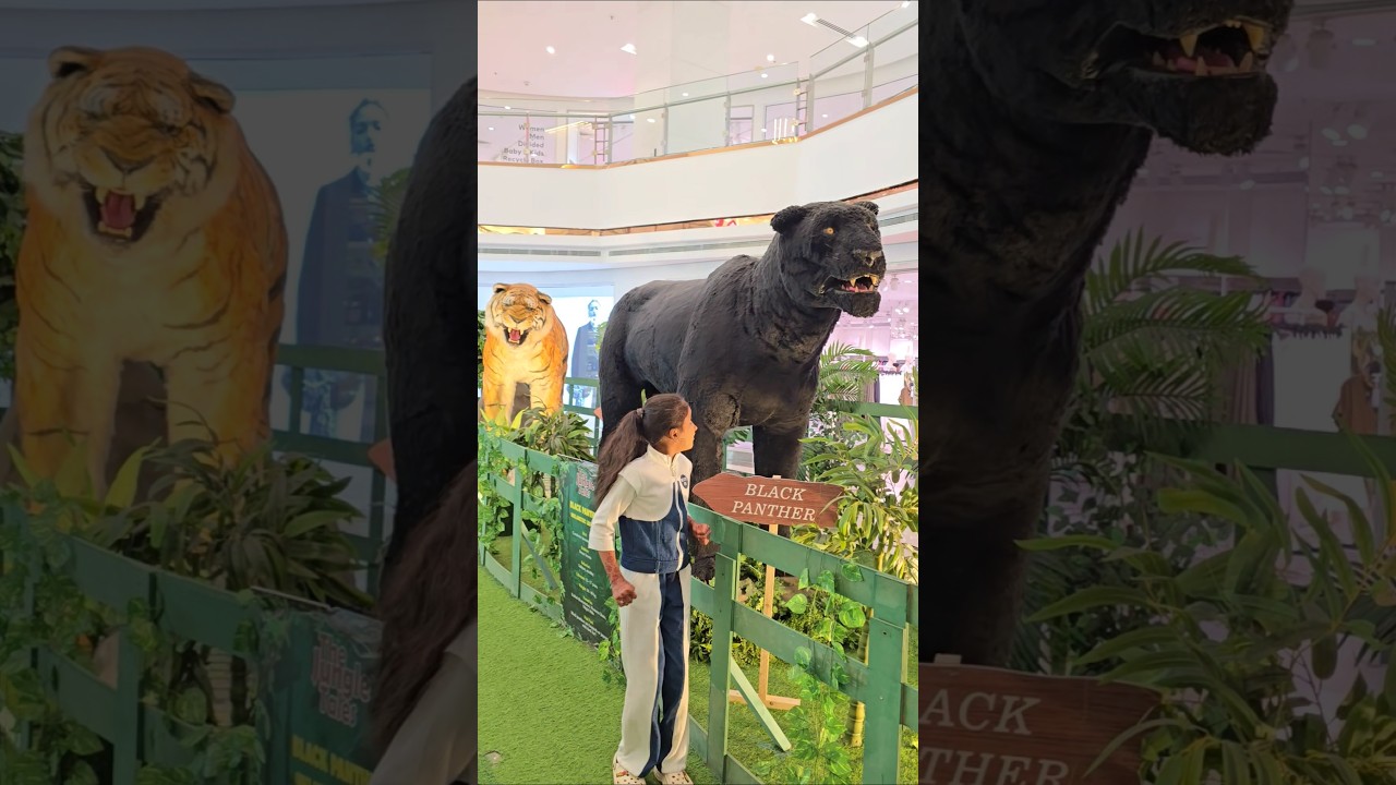 Aa aa aaaaaa 😱 😂 🤣 