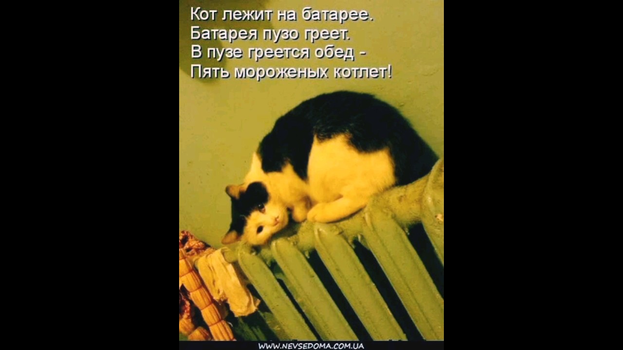 греется обед 5 мороженных котлет 😂 - YouTube