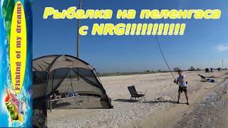 Рыбалка на пеленгаса!!!С NRG!)))) Отчёт!!!