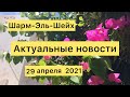 ШАРМ-ЭЛЬ-ШЕЙХ 2021//АКТУАЛЬНЫЕ НОВОСТИ НА КОНЕЦ АПРЕЛЯ//О ВИЗЕ, КОРОНЕ и другой информации.