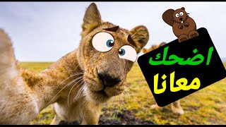 فيديوهات اشخاص وحيوانات مضحكة | مدبلج مصري تعال اضحك معانا 😂