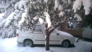 Снег в Цандрыпш. Аномальная зима в Абхазии. (Цандрипш)