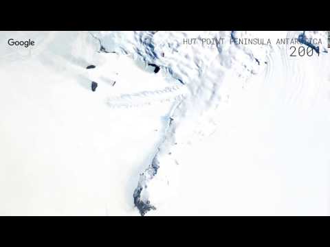 Video: Overblijfselen Van Levende Wezens Werden Gevonden In Het Antarctische Meer - Alternatieve Mening