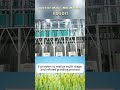 100TPD Corn Milling Plant | Turnkey Maize Flour Mill by Voson Machinery