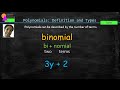 Understanding Polynomials