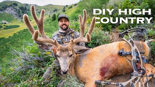 Velvet MULEY in the HIGH COUNTRY!! Public Land DIY BOWHUNTING