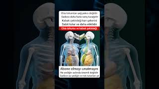 Chia Mı Kabak Çekirdeği Mi? Yağ Yakımı İçin Hangisi Daha İyi? Ğlıklıbeslenme