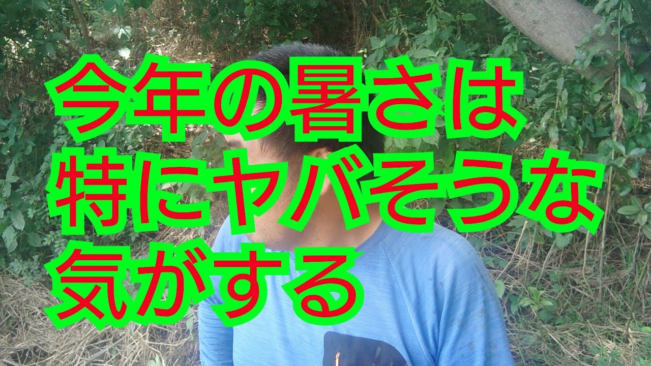 流石に暑さが厳しくなってきたので対策を考えねば - YouTube