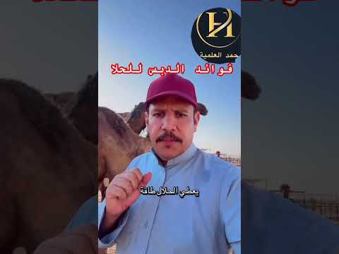 الدبس للحلال