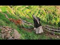 فيلم وثائقي للقرى المعلقة بين الغيوم في وصاب العالي عزلة الأثلوث