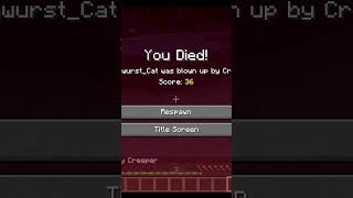 Was für ein Verabschiedung .. | #currywurst_cat on #Twitch #Minecraft #Fail