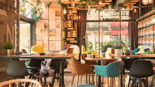 Morning Cafe Ambience & Relaxing Jazz Music - Coffee Shop Sounds For Work, Study & Awake by Cozy Cafe Ambience 3,375 views 2 years ago 8 hours, 15 minutes