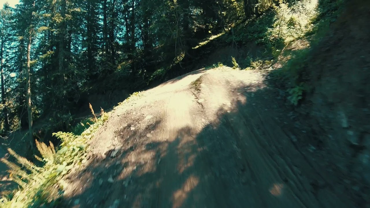 Serpentine Trail, Châtel Bike Park, French/Swiss Alps