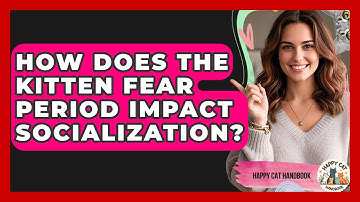 How Does The Kitten Fear Period Impact Socialization? - Happy Cat Handbook