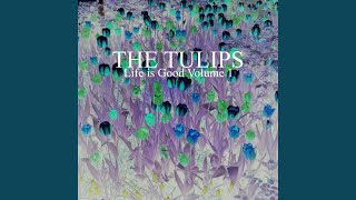 Miniatura de vídeo de "The Tulips - Rock Solid"
