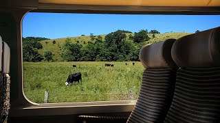 Beautiful Train Ride ambience - for sleep and relaxing - Tranquil Geo