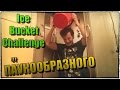 Ice Bucket Challenge (IBC) от ПАУКООБРАЗНОГО!!!