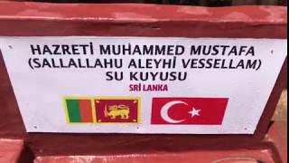 Paylaş Derneği -Kainat Efendimiz Muhammed Mustafa (Sallallahu Aleyhi vessellem ) Ruhu Şerifleri