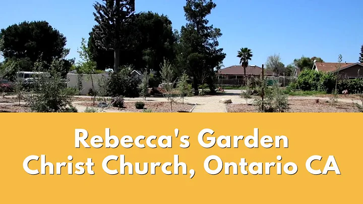 That Deacon On YouTube: Rebecca's Garden
