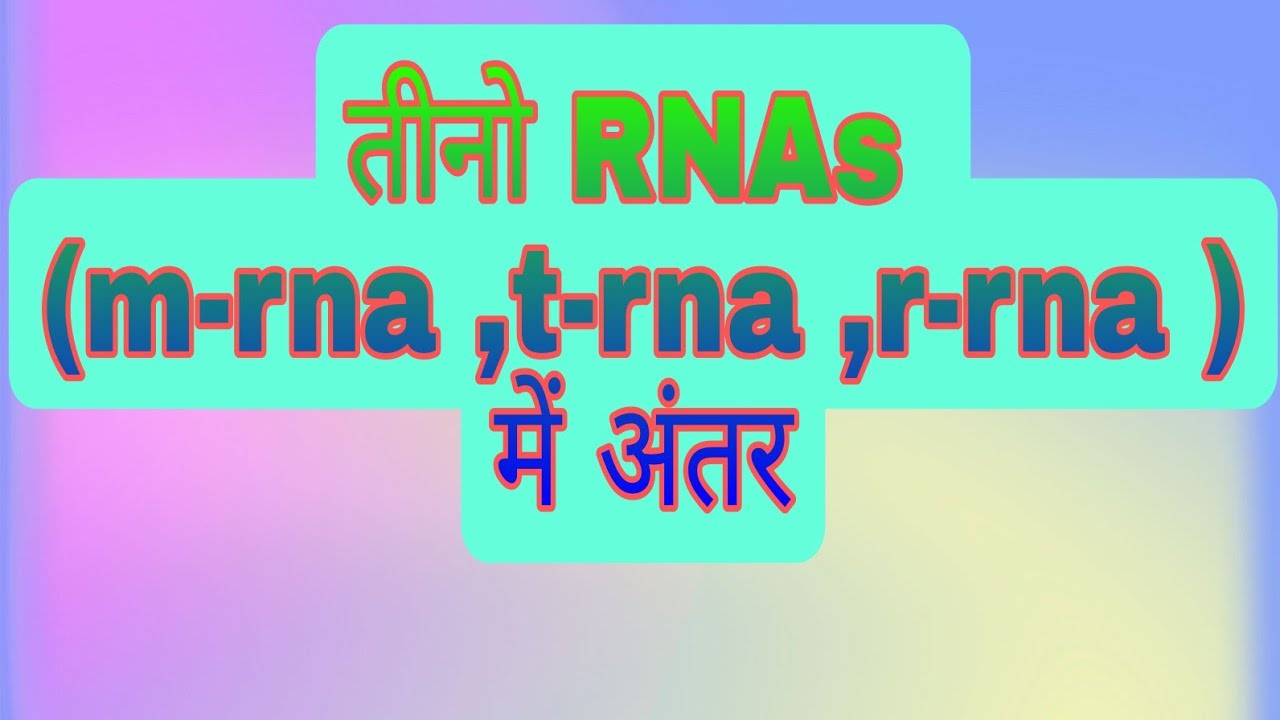 |RNA| difference between tRNA mRNA and rRNA in hindi - YouTube