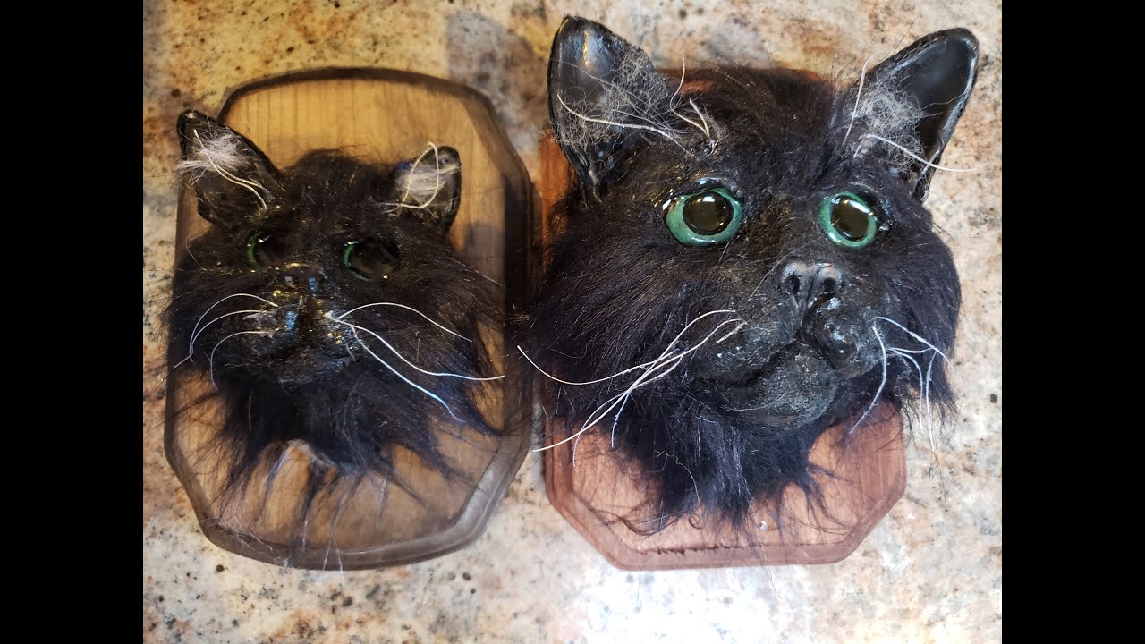 Sculpting faux taxidermy cat faces