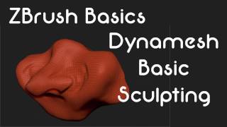 ZBrush Basics Sculpting and Dynamesh Workflow