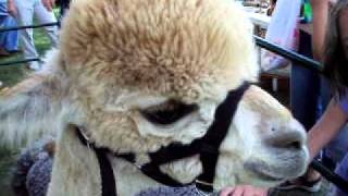 20110717_7.AVI