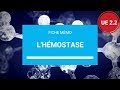 UE 2.2 - l'Hémostase