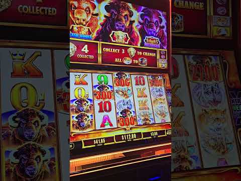 Casino La Perla del Chira cumple 11 años ven celebralo en calle sucre 408 #sullana #piura #Perú