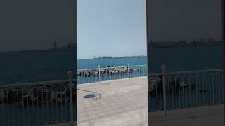 Senol Aktar Hab Eyse Cazinoul Constanta