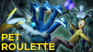 Pet Roulette (#9)