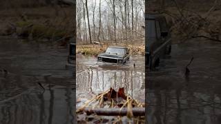 Can you swim? 🥶🪿 #rc #trx4 #offroad #shorts #ford