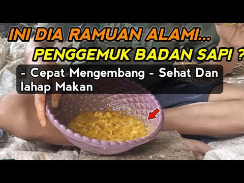Cara Membuat Jamu Herbal Untuk Ternak