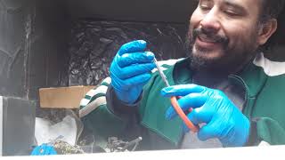Trimming and sharing some pot harvest Culture part1
