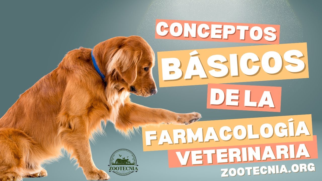 Conceptos básicos de la FARMACOLOGÍA VETERINARIA