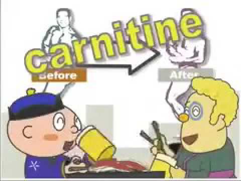 【ツイッターで話題の中毒曲！！】ジンギスカンの歌　FULLバージョン