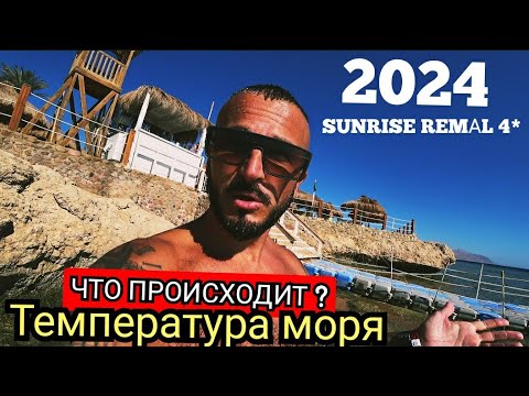 ЕГИПЕТ 🇪🇬 2024 СИТУАЦИЯ НА ПЛЯЖЕ  SUNRISE REMAL RESORT 4* Шарм Эль Шейх Температура воды и Воздуха