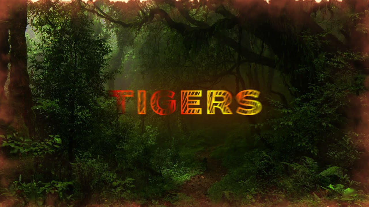 UBC Tigers Cheerleaders Gym Track 2021