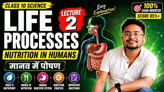 Life Processes Lecture 2 | जीवन प्रक्रियाएँ | मानव में पोषण | कक्षा 10 विज्ञान | Bright Edge Academy