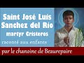 Vds 10  saint josluis sanchez del rio jeune martyr cristeros racont aux enfants