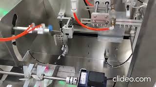 RPM Packaging Machinery - Mini Servo Pouch Line - Hot Broth/Soup
