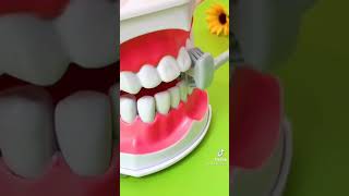 Dental Tartar Dentist New #shorts #2022 screenshot 3