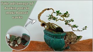 Taking advantage of broken pot to make a Bonsai Work| Antidesma Acidum