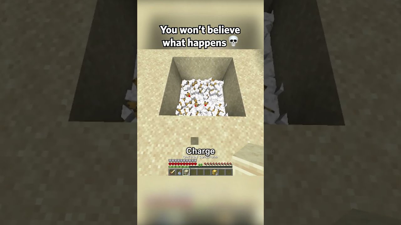 DO NOT CHECK THE SOUND 
