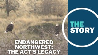 50 years after it became law, is the Endangered Species Act working