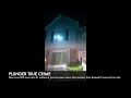 Man owes IRS more than $1 million & gets his house taken: Moviemaker Paul Kenneth Cromar & his wife