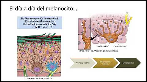 O que é melanoma mucosa?